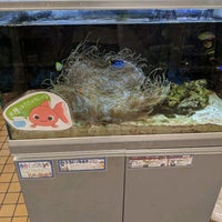 西友 深沢店 深沢1 8 1