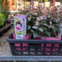 西友 深沢店 深沢1 8 1