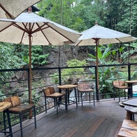 Review Jungle De Cafe