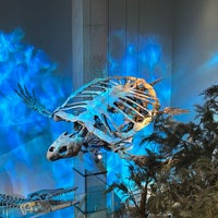 Photo taken at Perot Museum of Nature and Science by Rich S. on 2/11/2023