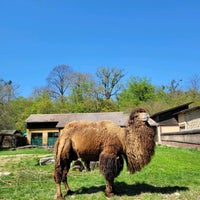 Photo taken at ZOO Maksimir by Petra M. on 4/14/2022