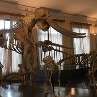 Photo taken at Museo Civico di Zoologia by Rudy Francesco C. on 10/8/2017