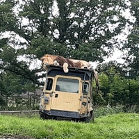 Photo taken at Zoo Parc Overloon by Egon W. on 8/22/2021