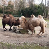Photo taken at Zoo Parc Overloon by Egon W. on 2/4/2023