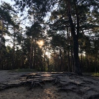 Photo taken at Быковнянский лес by Dyadya V. on 8/28/2018