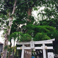 Photo taken at 下宿八満神社 ケヤキ by Jun T. on 5/8/2017