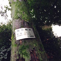 Photo taken at Shiroyama Kumano Shrine by Jun T. on 4/13/2017