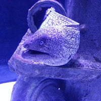6/21/2013에 Sergey L.님이 Antalya Aquarium에서 찍은 사진