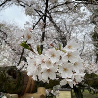 Photo taken at Kinuta Park by p_ d. on 4/4/2024