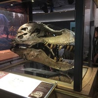 Photo taken at Hall Of Dinosaurs by Cathy L. on 1/12/2019