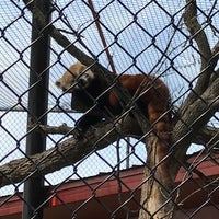 Photo taken at Roosevelt Park Zoo by Dan on 8/9/2019