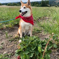 Photo taken at Topaz Farm by Megan P. on 6/3/2018