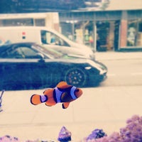 940 Aquarium Design Centre Glasgow Gratis