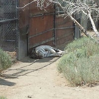 Animal Ark - Zoo in Reno Animal Ark - Zoo in Reno