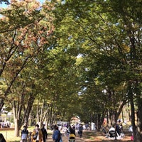 Photo taken at Tsuruma Park by ext10 on 10/23/2022