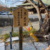 嵐」光の道 日本航空撮影記念樹 - 49 ziyaretçi