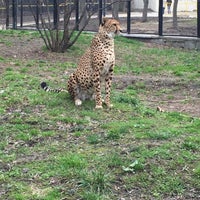 Photo taken at Moscow Zoo by Чистякова Е. on 4/19/2016