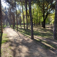 Photo taken at Park Bele vode by North G. on 10/20/2022