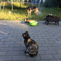 Photo taken at Городище by Pavel S. on 6/22/2019