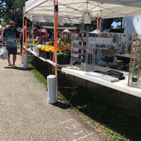 Maxwell Street Days - Mukwonago, WI