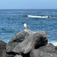 Photo taken at Puerto de la Cruz by Mustafa B. on 1/13/2024