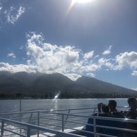 9/14/2018 tarihinde Jamie Lynn .ziyaretçi tarafından Trilogy Excursions, Lahaina Boat Harbor'de çekilen fotoğraf