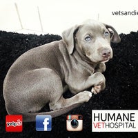 Photo taken at Humane Vet Hospital of San Diego by Raj D. on 2/16/2013