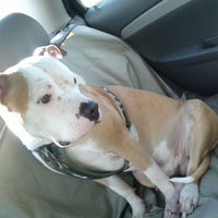 Photo taken at PetSmart by Adrie M. on 12/4/2012