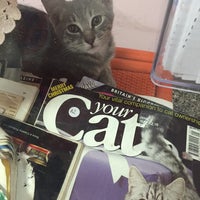 1/23/2016에 Clairebear님이 Cat Cuddle Cafe에서 찍은 사진