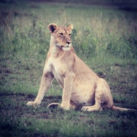 Photo taken at Mara Serena Safari Lodge by Serge on 1/1/2013