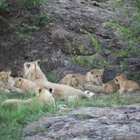 Photo taken at Mara Serena Safari Lodge by Serge on 1/4/2013