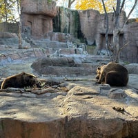 Photo taken at Indianapolis Zoo by Katie S. on 11/10/2023