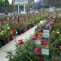 Lakewood Nursery Garden Center Lakewood Nursery Garden Center