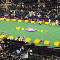Photo taken at Westminster Kennel Club Dog Show at Piers 92/94 by yuna l. on 2/17/2016