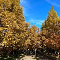 Photo taken at Kobe Municipal Arboretum by Dennsyakun on 11/11/2023
