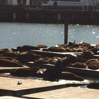 Photo taken at Tulipmania at Pier 39 by Jenny on 2/27/2013