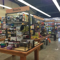Mud bay dog store deals