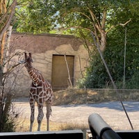 Photo taken at Zufari: Ride Into Africa! by Taylor D. on 8/10/2022