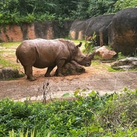 Photo taken at Zoo Atlanta by Diego C. on 7/14/2023