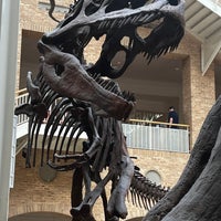 Photo taken at Fernbank Museum of Natural History by Diego C. on 7/15/2023