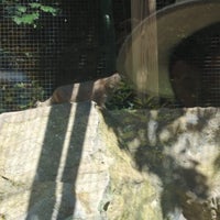 Photo taken at Binghamton Zoo at Ross Park by Tiffany L. on 9/2/2023