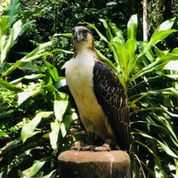Photo taken at Philippine Eagle Center by Jim L. on 9/6/2019