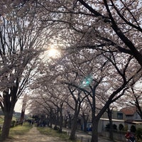 Photo taken at 運河水辺公園 by Βétα on 4/2/2022