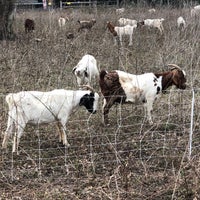 Photo taken at South Meadow Trail (Houston Arboretum) by Cooper K. on 3/11/2021