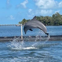 Photo taken at Dolphin Research Center by FourSeas I. on 2/1/2023