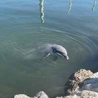 Foto tirada no(a) Dolphin Research Center por FourSeas I. em 2/1/2023
