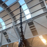 Photo taken at Brachiosaurus Altithorax by Ray Q. on 8/22/2023