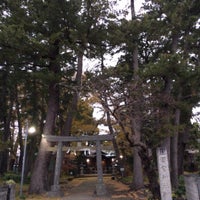 酒匂神社 小田原 酒匂2 27