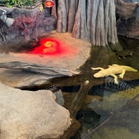 Photo taken at Claude the Albino Alligator by Bkwm J. on 7/21/2023