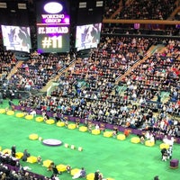 Photo taken at 136th Westminster Kennel Club Dog show by Katie on 2/13/2013